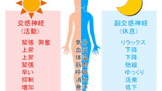 脳疲労と自律神経